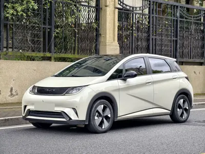 BYD Dolphin 2023, 56000 км, за 8504.84 USD