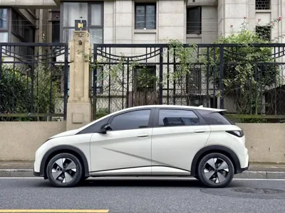 BYD Dolphin 2023, 56000 км, за 8504.84 USD
