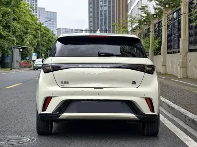 BYD Dolphin 2023, 56000 км, за 8528.92 USD - фото 6