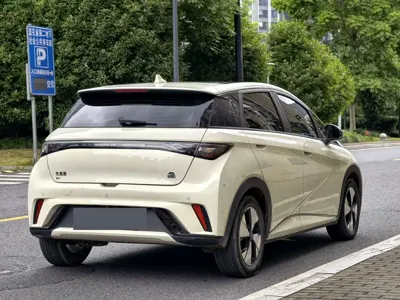BYD Dolphin 2023, 56000 км, за 8528.92 USD - фото 7