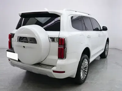 Tank Tank 500 New Energy 2024, 36000 км, за 29910.53 USD
