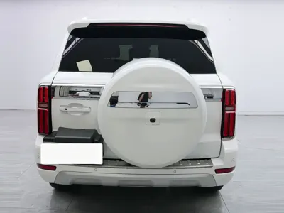 Tank Tank 500 New Energy 2024, 36000 км, за 29910.53 USD