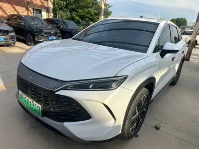 BYD L DM-i · 2024 год