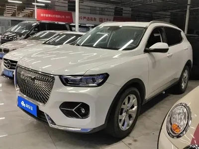Haval H6 · 2021 год