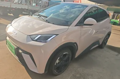 BYD Seagull · 2023 год