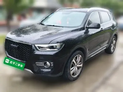 Haval H6 · 2017 год