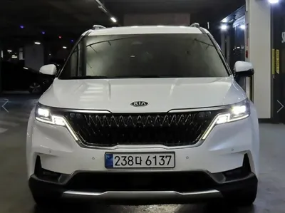 Kia Canival 2021, 127763 км, за 16742.68 USD