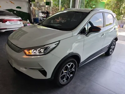 BYD Yuan Pro · 2021 год