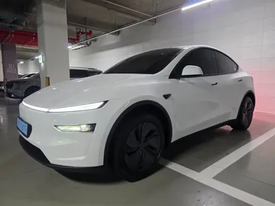 Tesla Model Y 2026, 624 км, за 24910.61 USD