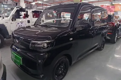 Wuling Zhiguang New Energy · 2025 год