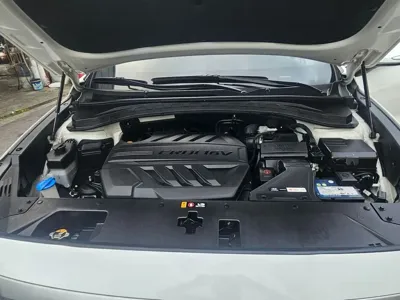 Hyundai Santafe 2019, 78401 км, за 11514.45 USD - фото 7