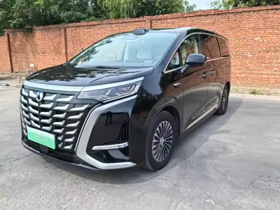 Denza Denza D9 · 2025 год