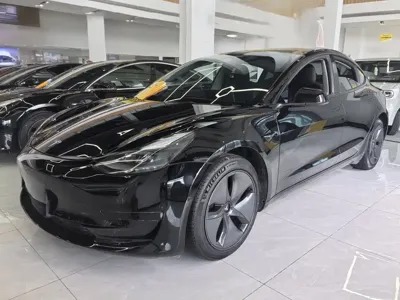 Tesla Model 3 · 2021 год
