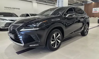 Lexus NX · 2021 год