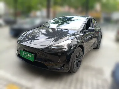 Tesla Model Y · 2023 год
