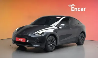 Tesla Model Y · 2025 год