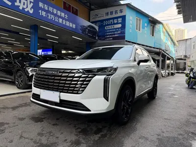 Haval H6 · 2024 год