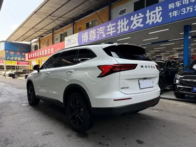 Haval H6 2024, 5000 км, за 12524.12 USD - фото 24