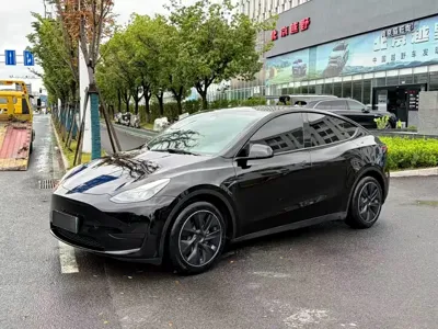 Tesla Model Y · 2022 год