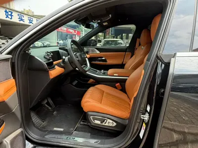 Xpeng G9 2024, 40000 км, за 24984.8 USD