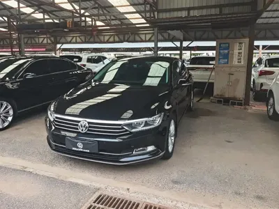 Volkswagen Magotan · 2019 год