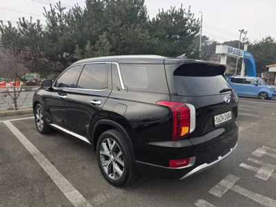 Hyundai Palisade 2019, 155539 км, за 13551.04 USD - фото 7