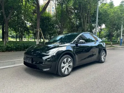 Tesla Model Y · 2023 год