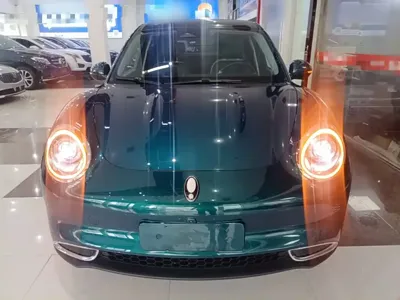 ORA Ora Good Cat 2023, 20700 км, за 9932.12 USD