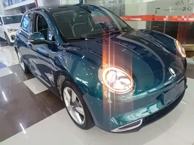 ORA Ora Good Cat 2023, 20700 км, за 9932.12 USD