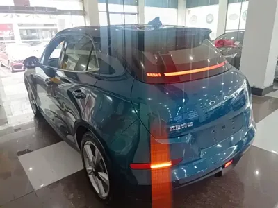 ORA Ora Good Cat 2023, 20700 км, за 9932.12 USD