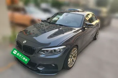 BMW 2 Series · 2019 год