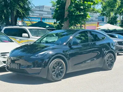 Tesla Model Y · 2021 год