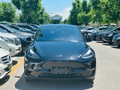 Tesla Model Y 2021, 30000 км, за 21838.75 USD