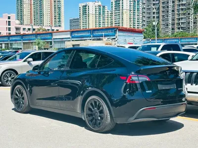 Tesla Model Y 2021, 30000 км, за 21838.75 USD - фото 6