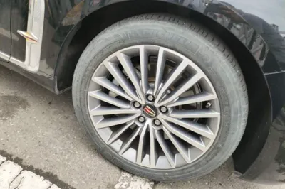 Hongqi H9 2020, 86600 км, за 20538 USD - фото 9