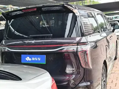 Hongqi Hongqi HQ9 PHEV 2024, 16500 км, за 33262.82 USD