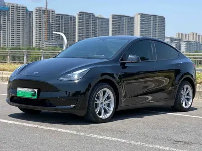 Tesla Model Y · 2023 год
