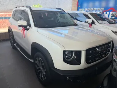 Haval Big Dog 2021, 110200 км, за 10373.41 USD
