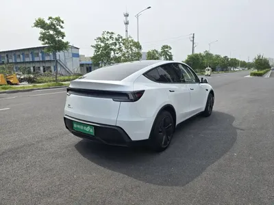 Tesla Model Y 2025, 25000 км, за 29910.53 USD - фото 9