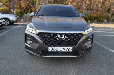 Hyundai Santafe · 2019 год