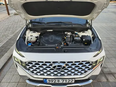 Hyundai Santafe 2021, 80000 км, за 18211.91 USD - фото 9