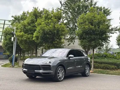 Porsche Cayenne · 2021 год
