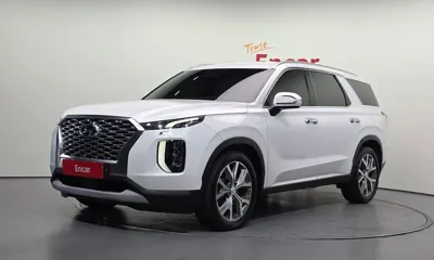 Hyundai Palisade · 2020 год