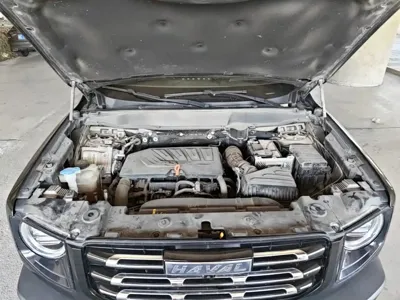 Haval Big Dog 2022, 44400 км, за 10119.02 USD - фото 20