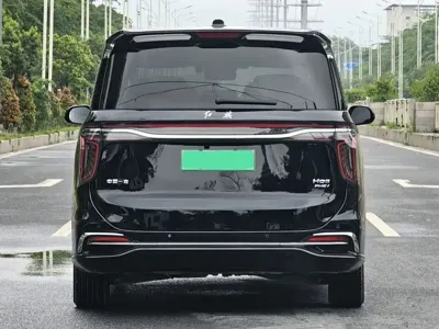Hongqi Hongqi HQ9 PHEV 2024, 33000 км, за 27888.68 USD - фото 11