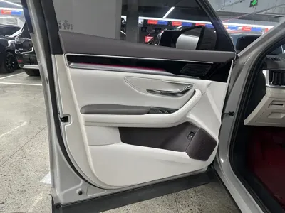 BYD PLUS New Energy 2024, 10000 км, за 13463.54 USD