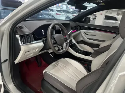 BYD PLUS New Energy 2024, 10000 км, за 13463.54 USD