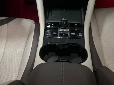 BYD PLUS New Energy 2024, 10000 км, за 13463.54 USD - фото 8