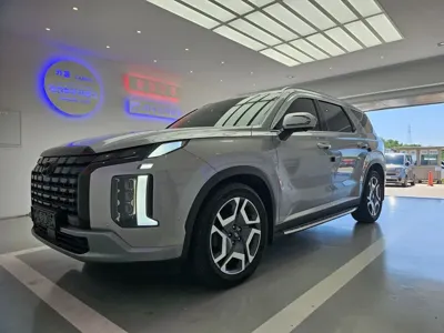 Hyundai Palisade · 2024 год