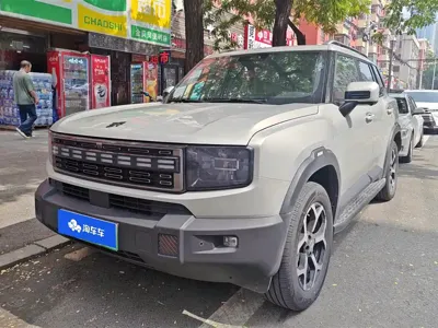 Shanhai Shanhai T1 · 2025 год